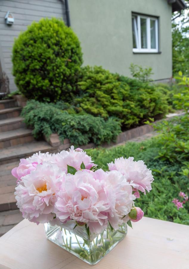 Green House - Two Bedroom Apartment Bielsko-Biała Esterno foto